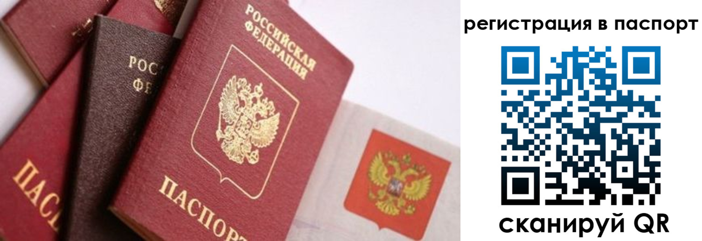 прописка в квартире в Михайловске